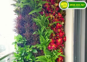 THI CÔNG TƯỜNG CÂY BAN CÔNG CHO CĂN HỘ RIVER POINT