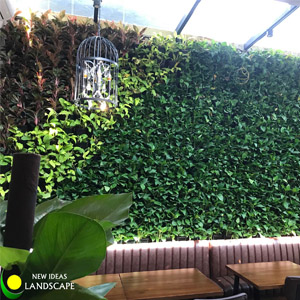 THI CÔNG TƯỜNG CÂY NHÀ HÀNG TOPPING BEEF