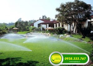 HỆ THÔNG TƯỚI TỰ ĐỘNG GIÚP TIẾT KIỆM NƯỚC