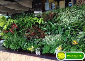 8 Ý TƯỞNG LÀM VƯỜN THẲNG ĐỨNG SÁNG TẠO